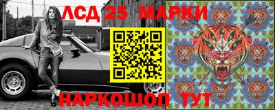 гидра Новозыбков