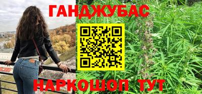 гидра Новозыбков
