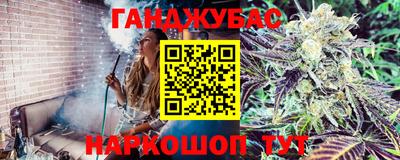 гидра Новозыбков