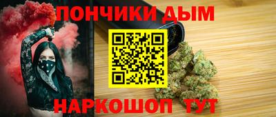 гидра Новозыбков