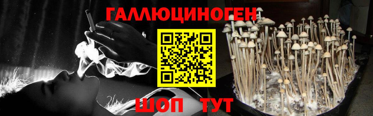 Галлюциногенные грибы GOLDEN TEACHER Ухта